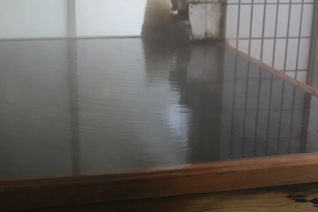 Hotel Sankeien Sapporo